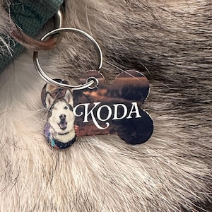 Personalized Dog Tags – Custom Pet ID Tags, Multiple Shapes & Colors, Pet Name Tags with Contact Info