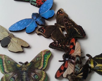 Wooden,  BUTTERFLY, cicada, beetle, moth, Brooch, Choose style, brooch, wood,bugs,  by NewellsJewels on etsy