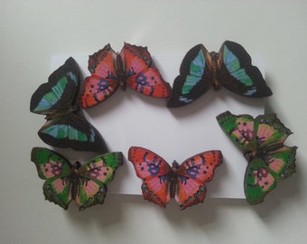 Butterfly, clip on, earrings, clip on earrings, wood, wooden, butterfly clip on, choose style, by NewellsJewels on etsy