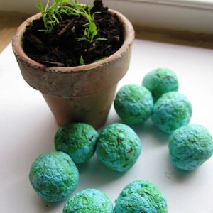 1,000 Make every day Earth Day- 'Earth" marbled seed bombs