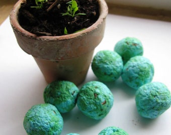 1,000 Make every day Earth Day- 'Earth" marbled seed bombs