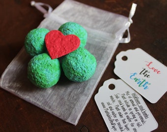 Love the Earth Seed bomb favors