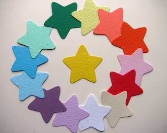 24 Seed Paper Stars