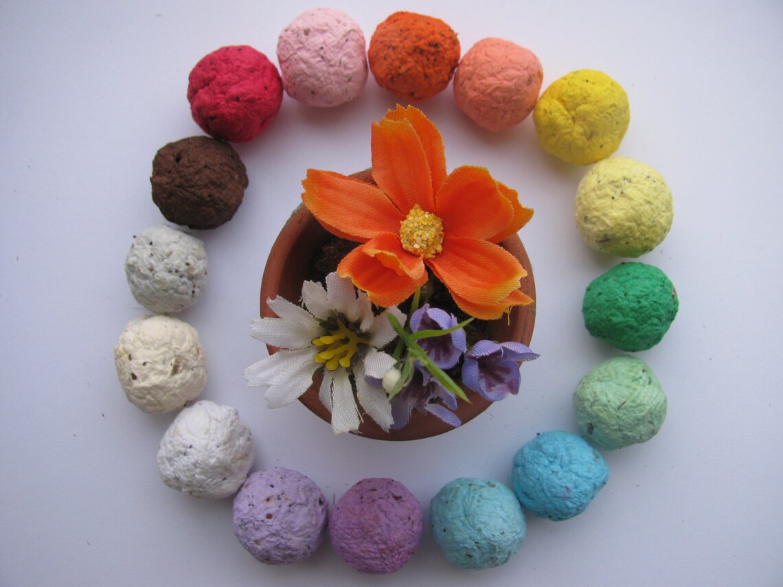 50 Wildflower Seed Bombs Etsy
