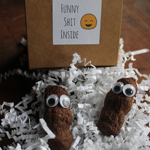 Funny Sh*t Inside-  boxed gag gift- plantable fake dog poop- wildflower seeds