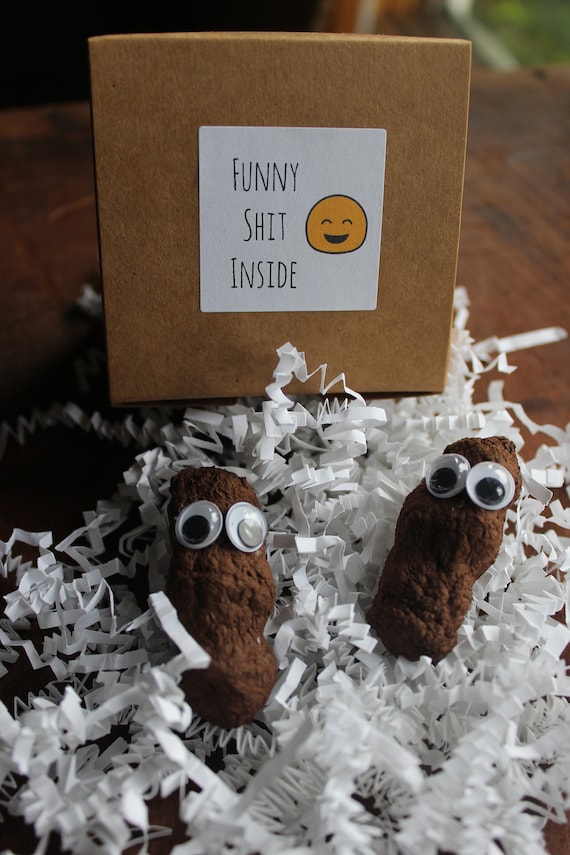 Funny Sht Inside Boxed Gag Gift Plantable Fake Dog Poop Wildflower