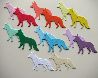24 Seed Paper Foxes
