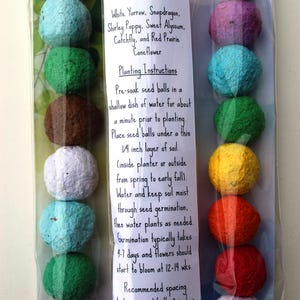 MADE TO ORDER Wildflower Seed Bomb Favor in clear cello sleeve 3 color combinations to choose from image 4