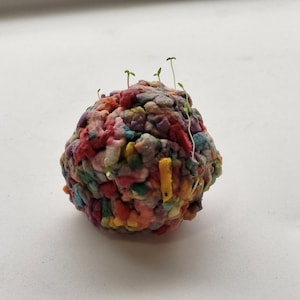 DIY Wildflower Seed Bombs image 5