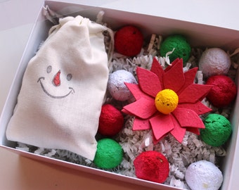 MADE TO ORDER- Holiday Sampler Box- 1 seed paper poinsettia, 10 holiday colored wildflower seed bombs, and 3 herb seed bombs