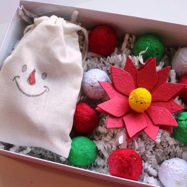 MADE TO ORDER- Holiday Sampler Box- 1 seed paper poinsettia, 10 holiday colored wildflower seed bombs, and 3 herb seed bombs