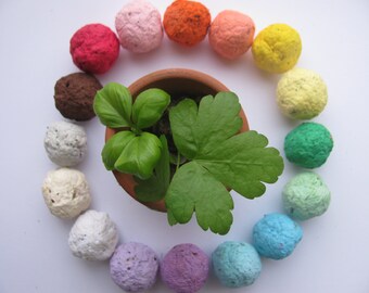 NEW---300 HERB Seed Bombs