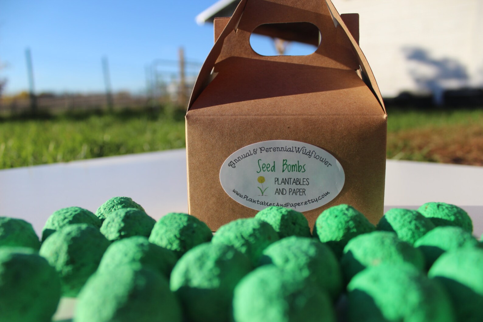 Wildflower Seed Bomb Gift/favor Small Gable Box Packaging Etsy