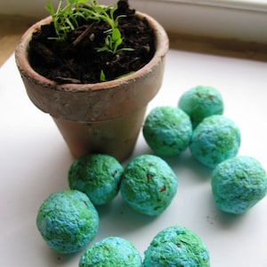 READY TO SHIP- 100 Make every day Earth Day- 'Earth" marbled seed bombs