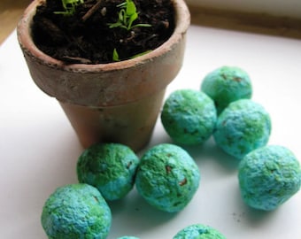 READY TO SHIP- 100 Make every day Earth Day- 'Earth" marbled seed bombs