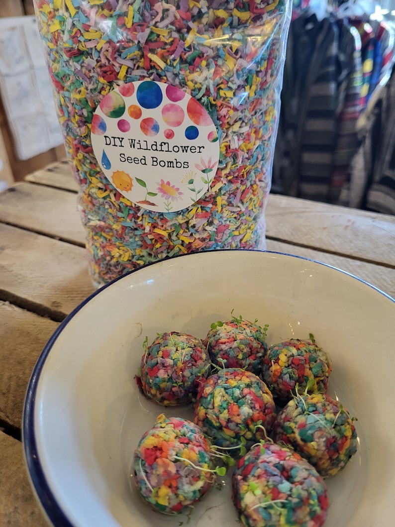 DIY Wildflower Seed Bombs Etsy