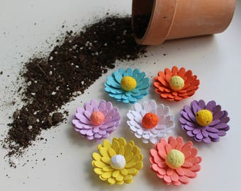 70 GERBERA DAISY shaped Wildflower blend seed paper flowers