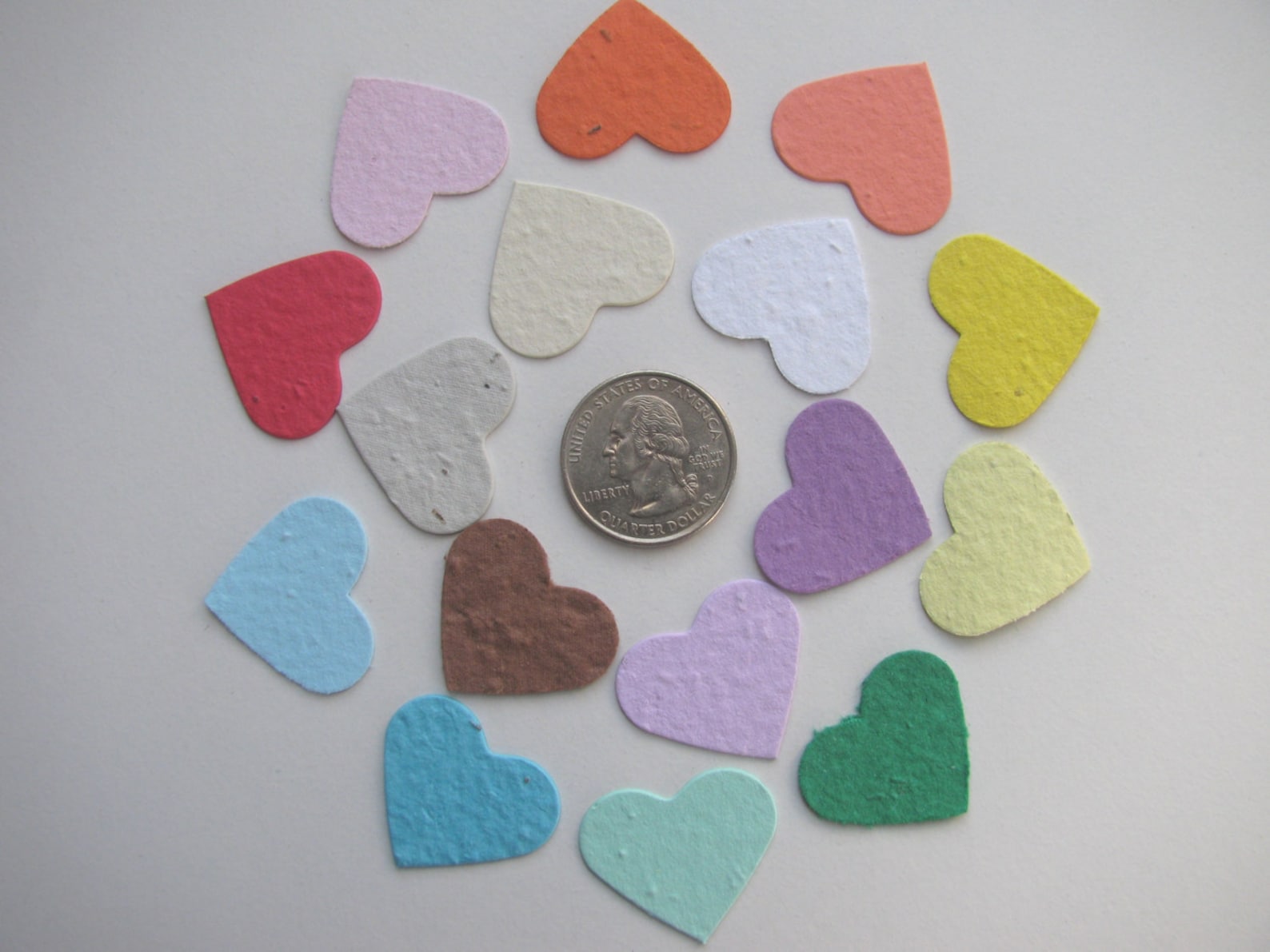 100 Plantable Confetti Hearts Choose From 16 Colors Etsy