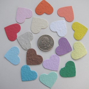 100 Plantable confetti hearts choose from 16 colors homemade paper mixed with wildflower seeds ecofriendly earth day image 3