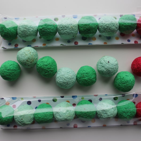 MADE TO ORDER- Hungry Caterpillar Wildflower Seed Bomb Favors