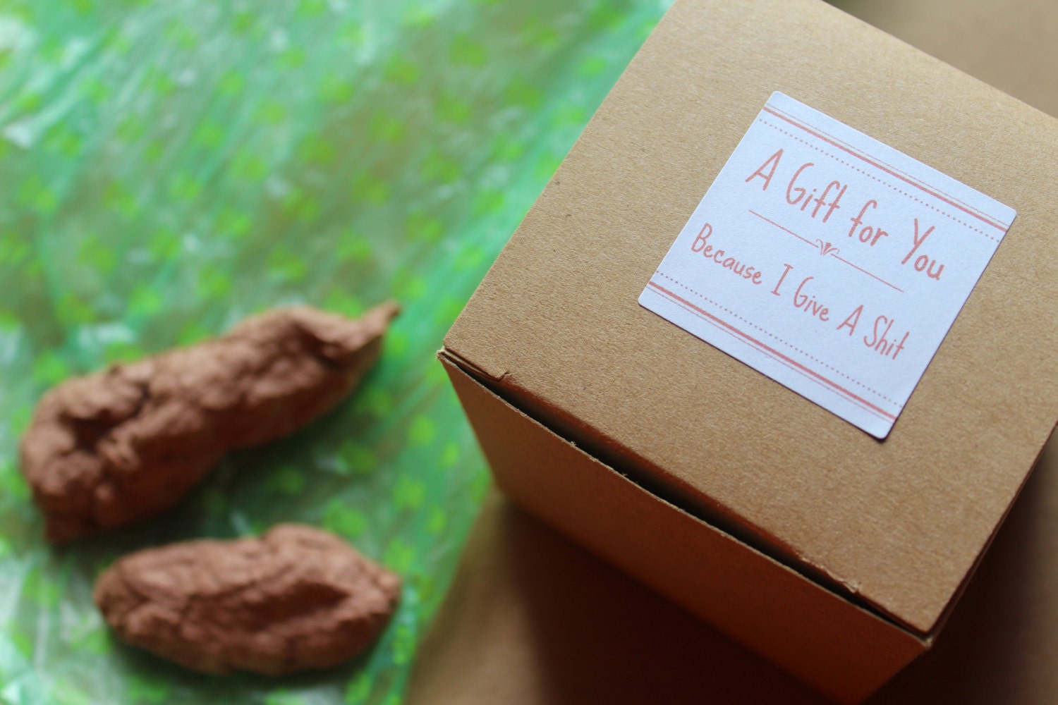 Because I Give a Sh*t- Boxed Gag Gift- Plantable Fake Dog Poop ...