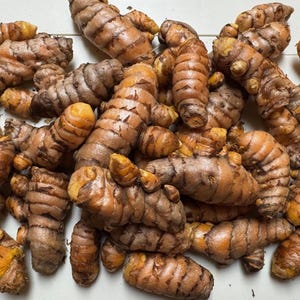 May include: A collection of raw turmeric rhizomes with knobby, irregular shapes and a textured, brownish-tan skin. The roots display segments with visible rings and occasional bright orange patches where the skin is broken or exposed.