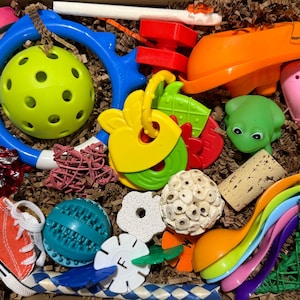 Handmade Parrot Foraging Toy Box: Bird Enrichment Toys & Treats