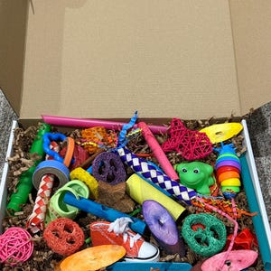 Parrot Foraging Toy Box: Handmade Bird Enrichment with Treats