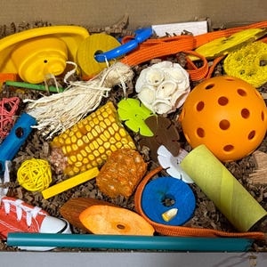 Fall Parrot Foraging Toy Box: Natural Wood, Treats Included