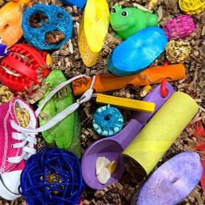 Rainbow Beaks Foraging Box: Handmade Parrot Enrichment Toy with Treats