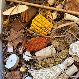 Super Stuffed Bird Foraging Box: Natural Parrot Toy with Treats