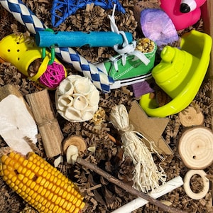 Worlds Collide Parrot Foraging Box: Natural Bird Toy with Treats