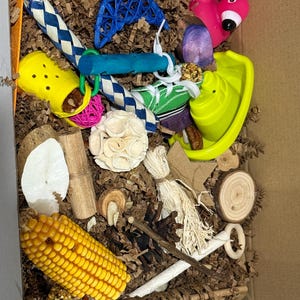 Worlds Collide Parrot Foraging Box: Natural Bird Toy with Treats