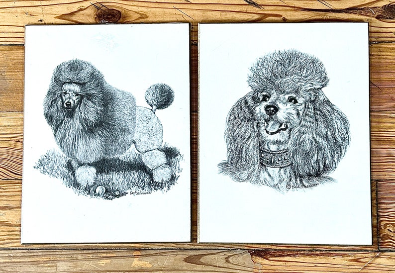 Vintage Poodle Art Prints On Wooden Board Earl Sherman Mid Century Wall Art 1950s 1960s Dogs Black and White Dwlrawing image 6