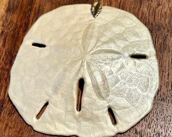 Natural Sand Dollar Pendant Ocean Sea Life Fossil Nature Natural Jewelry Gift Unisex Gender Neutral