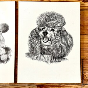 Vintage Poodle Art Prints On Wooden Board Earl Sherman Mid Century Wall Art 1950s 1960s Dogs Black and White Dwlrawing image 3