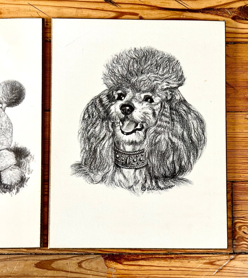 Vintage Poodle Art Prints On Wooden Board Earl Sherman Mid Century Wall Art 1950s 1960s Dogs Black and White Dwlrawing image 3