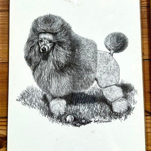 Vintage Poodle Art Prints On Wooden Board Earl Sherman Mid Century Wall Art 1950s 1960s Dogs Black and White Dwlrawing image 7