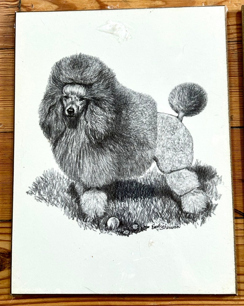 Vintage Poodle Art Prints On Wooden Board Earl Sherman Mid Century Wall Art 1950s 1960s Dogs Black and White Dwlrawing image 7