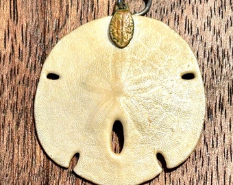 Natural Sand Dollar Pendant Ocean Sea Life Fossil Nature Natural Jewelry Gift Unisex Gender Neutral