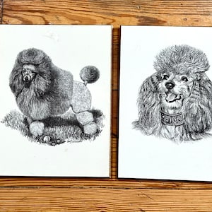 Vintage Poodle Art Prints On Wooden Board Earl Sherman Mid Century Wall Art 1950s 1960s Dogs Black and White Dwlrawing image 1