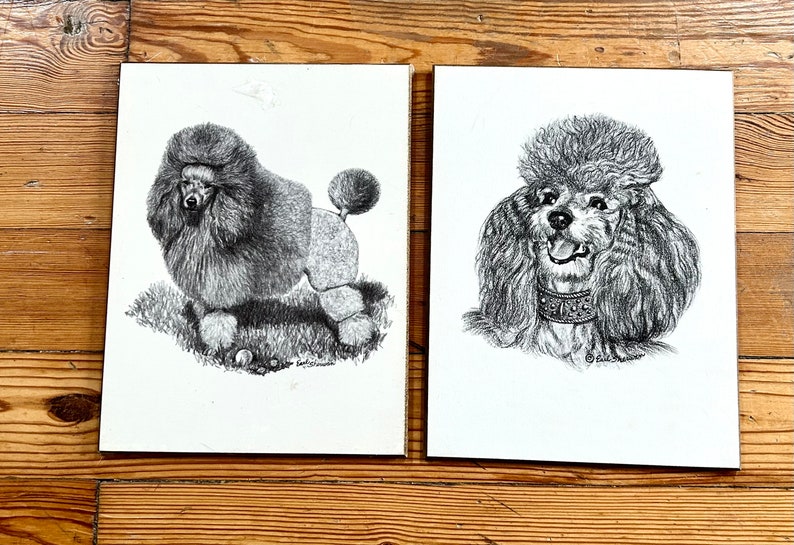 Vintage Poodle Art Prints On Wooden Board Earl Sherman Mid Century Wall Art 1950s 1960s Dogs Black and White Dwlrawing image 1