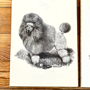 Vintage Poodle Art Prints On Wooden Board Earl Sherman Mid Century Wall Art 1950s 1960s Dogs Black and White Dwlrawing image 4