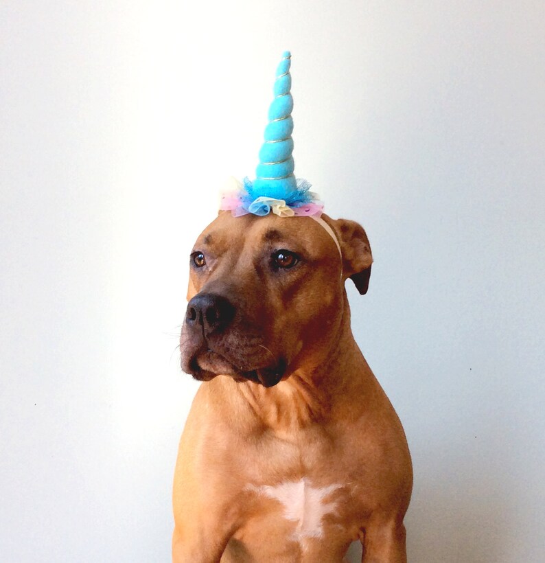 Download Dog Unicorn Costume Unicorn Dog Costume Dog Halloween | Etsy