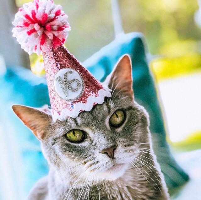 Girl Birthday Hat Dogs First Birthday DOG Birthday Hat Peach/Pink