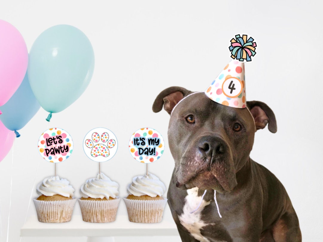 Printable Birthday Hat for Dogs, Printable Pet Party Supplies, DIY Dog