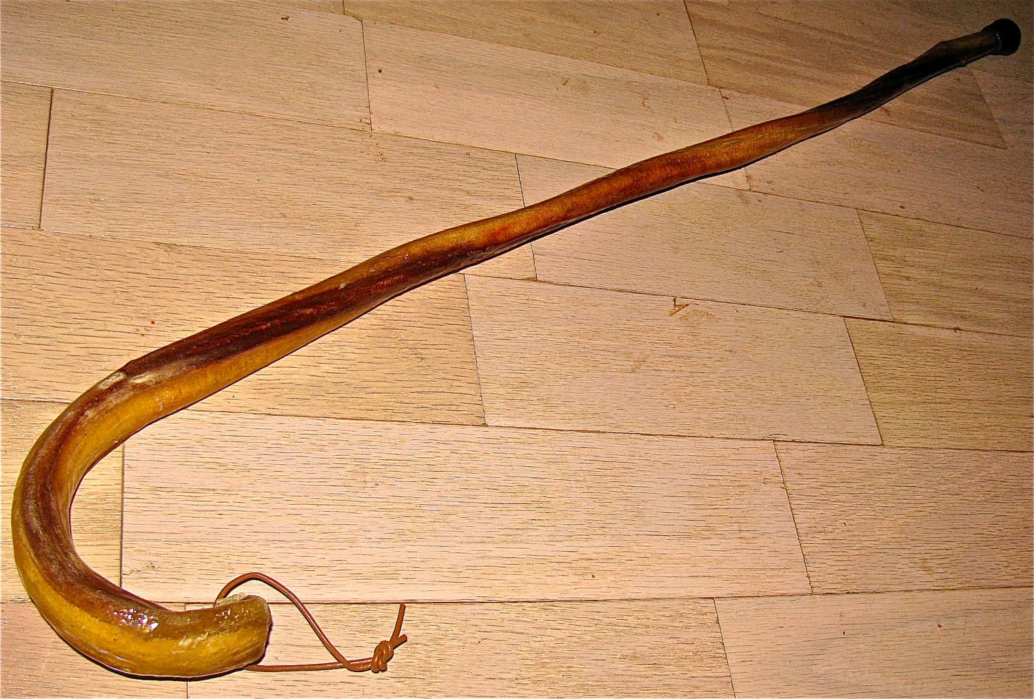 Bull Penis Walking Stick Cane Authentic Etsy