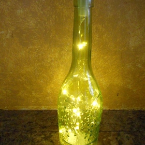 Handmade Lighted Bottle with USB Rechargeable Led Light String