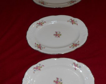 WALBRYCH CHINA Sherton Oval Serving PLATTERS Set of 3