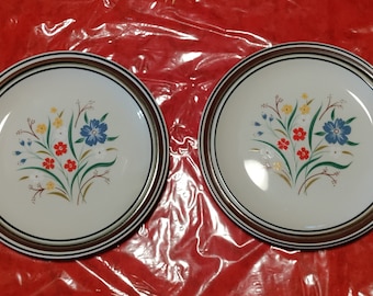 Vintage Salem Georgetown Floral Plates-Lot of 2